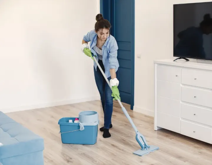Femme de ménage Albitreccia